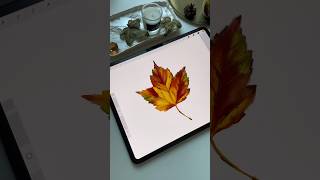 Drawing Process in Procreate  Watercolor Autumn Leaf  Tutorial shorts procreate tutorial [upl. by Luigi]