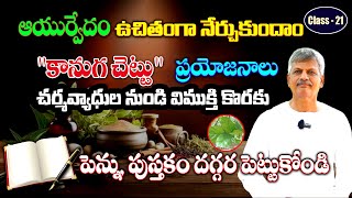 Learn Ayurveda  Free Classes 21  Kanuga Chettu  Part  2  Pongamia  Karanja  B Anjaneya Raju [upl. by Mauricio408]