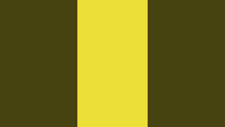 Bright Matte Yellow Color Screen 4K [upl. by Ackley976]