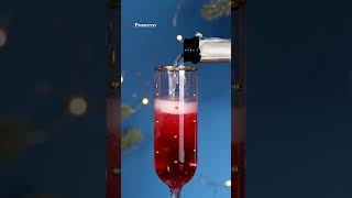 Lets Make a Cranberry Mimosa  Christmas Mimosa Recipe [upl. by Bradstreet]