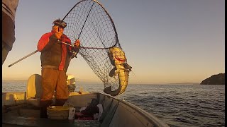 Lingcod Double Good day May 12th mothers Day Thank you Mom [upl. by Delisle88]