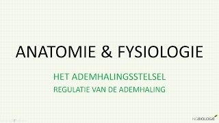 Regulatie van de ademhaling [upl. by York]