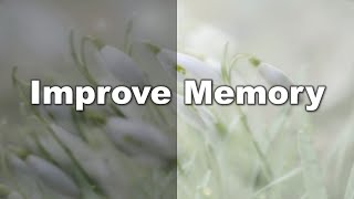 Improve Memory  Hypnosis  Meditation English [upl. by Yelnik]