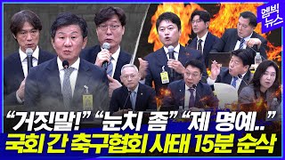 정몽규·홍명보 VS 국회의원 8시간 대혈투 이것만 보시면 됩니다15분 순삭 [upl. by Ntsud]