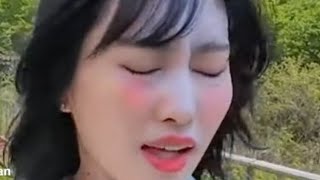 Kpop girl sneeze competition 🤧 [upl. by Vel737]