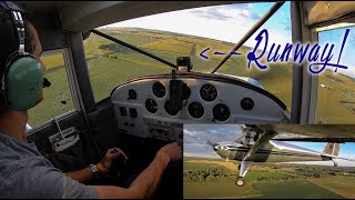 Tailwheel landing practice in the Luscombe [upl. by Aicnarf415]