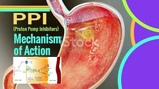 PPI Mechanism of Action  Proton pump inhibitors mechanism of action [upl. by Aiela234]