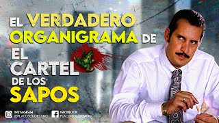 El verdadero organigrama de El C4RT3L de los Sapos  PARTE 1  Flaco Solórzano [upl. by Evod327]