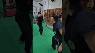 Tsurugi vs Katana 🥷🗡 escoladeninjas ninjutsu ninja kotatsudojo bujinkan [upl. by Iek]