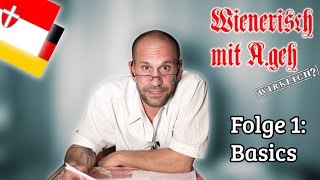 Wienerisch mit Ageh Wirklich  Folge 1 Basics [upl. by Anagrom676]