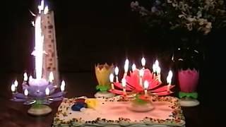 Lotus Flower Musical Birthday Candles [upl. by Ehtylb]