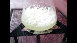 How to make Potassium Chlorate  KClO3  from bleach [upl. by Hilleary939]