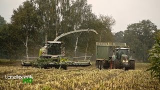 Lohnunternehmen Henke häckselt Mais für eine Biogasanlage in Niedersachsen HD [upl. by Dareen773]