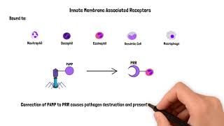 Receptor Ligand Binding [upl. by Barlow]