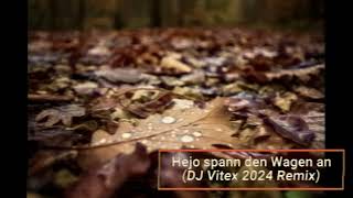 Hejo spann den Wagen an DJ Vitex 2024 Mix [upl. by Brosy348]