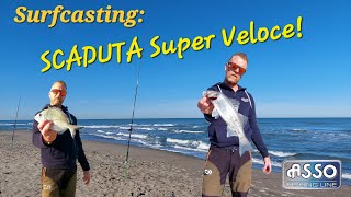 Surfcasting SCADUTA super Veloce in Diurna [upl. by Satterfield129]