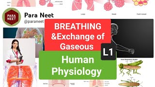 Breathing Exchange of gases Lecture 1 [upl. by Leuname]