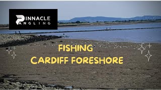 Sea Fishing 2023  Cardiff Foreshore [upl. by Petromilli]