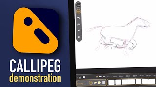 Callipeg Demo  How to animate a horse in 2D on iPad [upl. by Aksehcnarf]