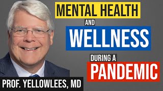 Mental Health and Wellness During a Pandemic  Dr Peter Yellowlees [upl. by Gerrard]