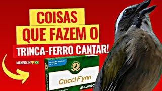 COISAS QUE FAZEM QUALQUER TRINCAFERRO CANTAR [upl. by Annasiul683]