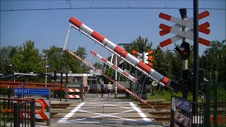 Spoorwegovergang Bodegraven  Dutch railroad crossing [upl. by Aleac431]