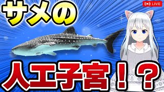 【獣医が解説】サメの人工子宮が完成 動物たちの面白繁殖【北国ここなの動物研究室】 [upl. by Ahcmis]