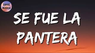 🎵 Grupo Firme Grupo Recluta – Se Fue La Pantera Letra\Lyrics [upl. by Tiram]