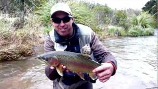 Fly Fishing the TaurangaTaupo River [upl. by Hevak462]