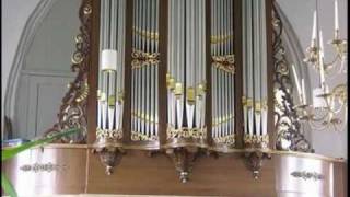 Nederlandse Protestantse Kerk  Orgel [upl. by Joub]