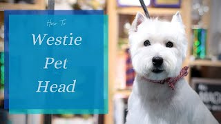 How to Do a Westie Pet Head  with Master Groomer [upl. by Heger]