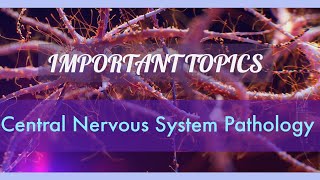 CNS PATHOLOGY lecture 4 MENINGIOMAS with scenario overview of METASTATIC TUMOURS [upl. by Banyaz]