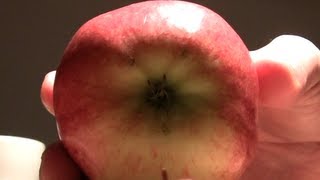 🍎 Optical Illusion  Apple of Your Eyes  目の錯覚  あなたの目のリンゴ [upl. by Cathrin]