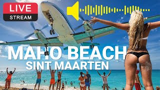 World famous Maho Beach SXM ✈️  Live Webcam [upl. by Geldens]