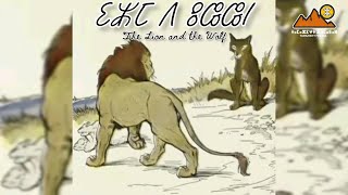 The Lion and The Wolf  ⵉⵣⵎ ⴷ ⵓⵛⵛⵏ  The Æsop for Children [upl. by Grady809]