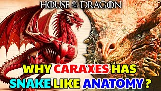 Caraxes Dragon Anatomy – Why Daemons Dragon Has Snake Like Physiology Different Than Other Dragons [upl. by Amalle]