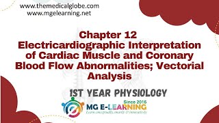 Electrocardiographic Interpretation of Cardiac Muscle and Coronary Blood Flow Chapter 12  Heart [upl. by Neall569]