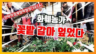 꽃밭갈아엎는 화훼농가  물류기기 공동이용사업 예산삭감 양파 노균병방지 친환경약제 개발 등  한국농어민신문 헤드라인 뉴스 20240116 [upl. by Rramo]