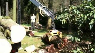 Tree Clearing amp Timber Extraction [upl. by Attelrac]