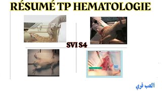 TP HEMATOLOGIE [upl. by Easlehc]