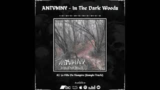 ANTVMNY  In The Dark Woods  2024 [upl. by Rehtae]