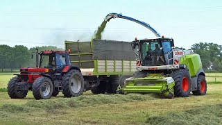 Grass Silage  Nikkels  Claas Jaguar 950  Case International 1455 XL  2015 [upl. by Ahsiadal]