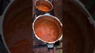 Home making Tomato paste fresh tomato from the my garden [upl. by Winwaloe]