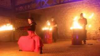 Spectacle de Feu  Gwam the Artists Danse Musique live Performance [upl. by Animrac]