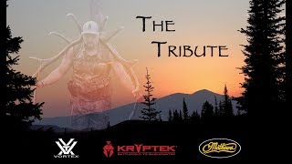 2017 Idaho Archery Elk Hunt  Elk Rut MADNESS [upl. by Anirec]