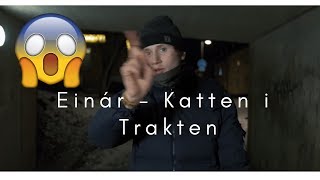 Einár  Katten i Trakten Official Music Video REACTION [upl. by Arleen]