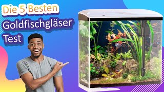 Die 5 Besten Goldfischgläser Test [upl. by Cari880]