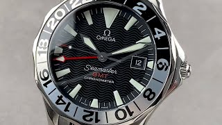 Omega Seamaster 300M GMT 25345000 Omega Watch Review [upl. by Karub]