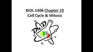 Chapter 10 Cell Cycle and Mitosis [upl. by Leraj473]