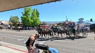 Bishop CA Mule Days Memorial Day Parade [upl. by Asabi]